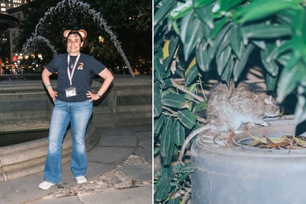 Exclusive | Rat Prioix's whisperner brings New York visitors to guided tours: from the worst hot spots of rodents in the city: "They are a kind of small monsters, but also a kind of ... brave"